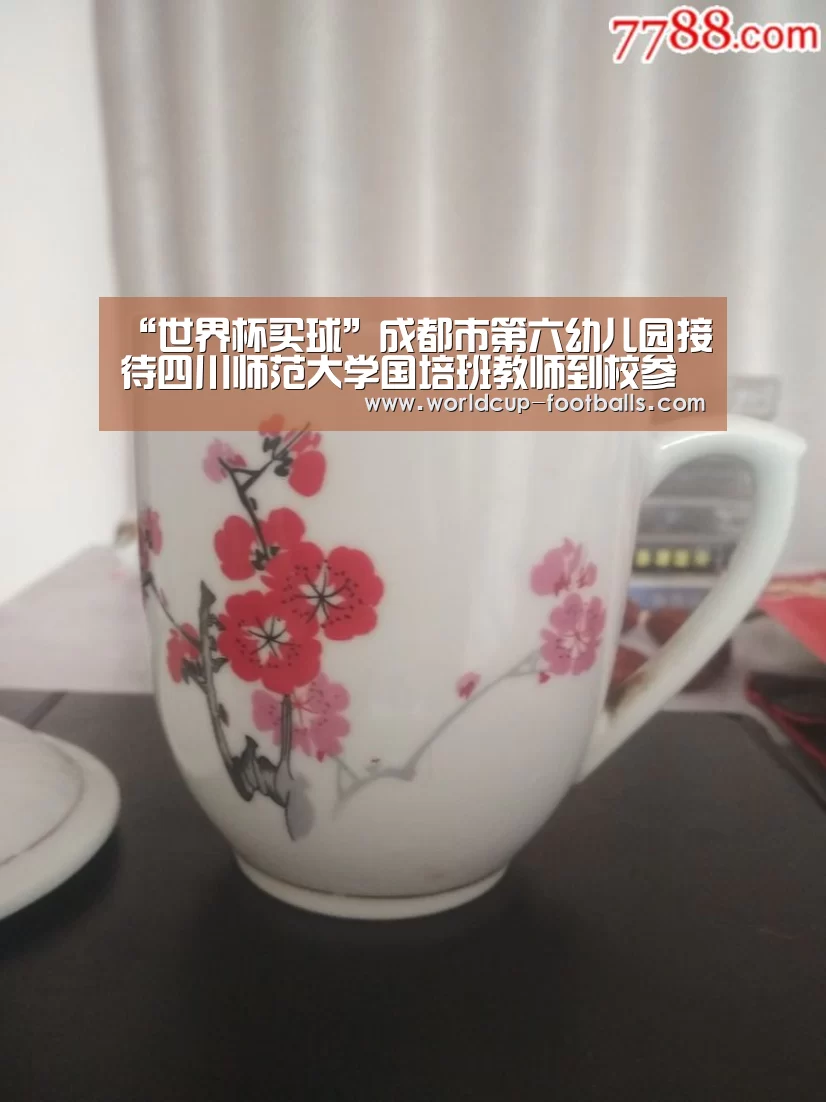 “世界杯买球”成都市第六幼儿园接待四川师范大学国培班教师到校参观(图3) 世界杯买球平台