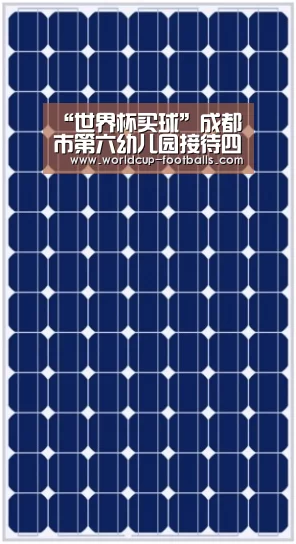 “世界杯买球”成都市第六幼儿园接待四川师范大学国培班教师到校参观(图4) 世界杯买球