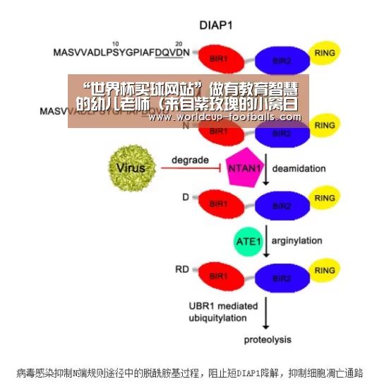 “世界杯买球网站”做有教育智慧的幼儿老师(来自紫玫瑰的小窝日志),入园(图2) 世界杯买球平台