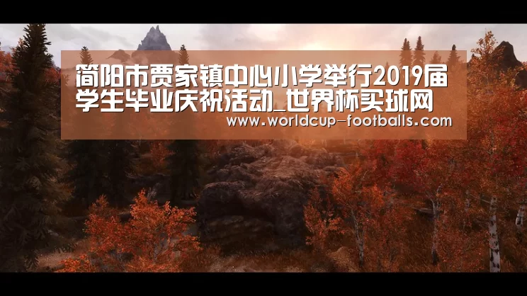 世界杯买球网站