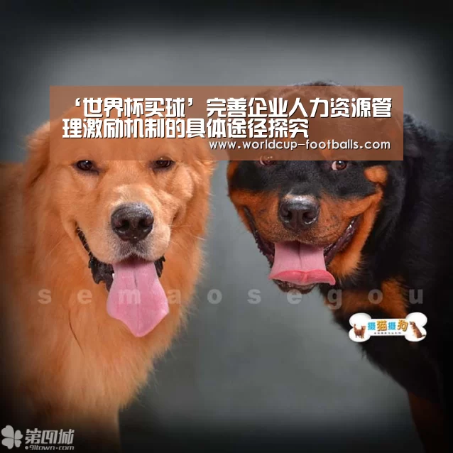 ‘世界杯买球’完善企业人力资源管理激励机制的具体途径探究(图4) 世界杯买球