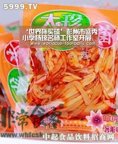 世界杯买球平台