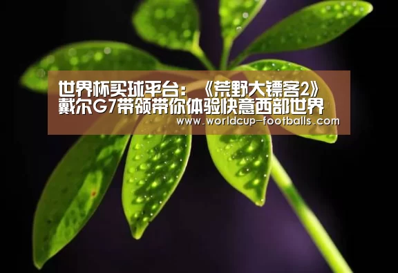 世界杯买球平台