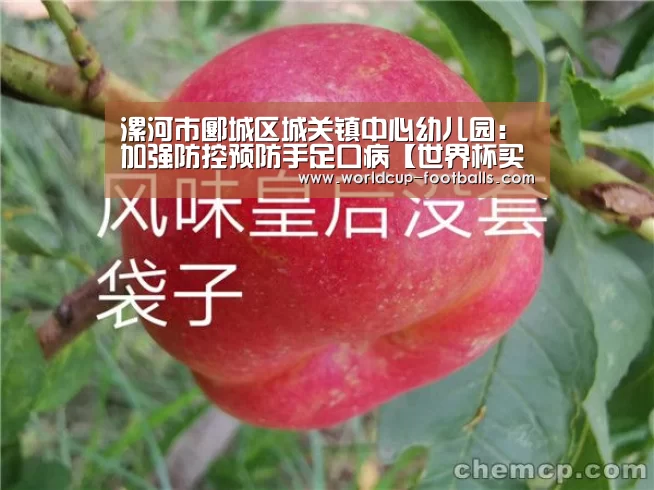 世界杯买球